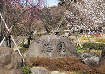 熱海梅園