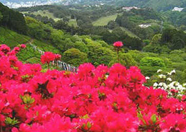 姫の沢公園